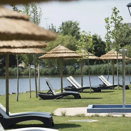 Heleniums Hajdúszoboszló