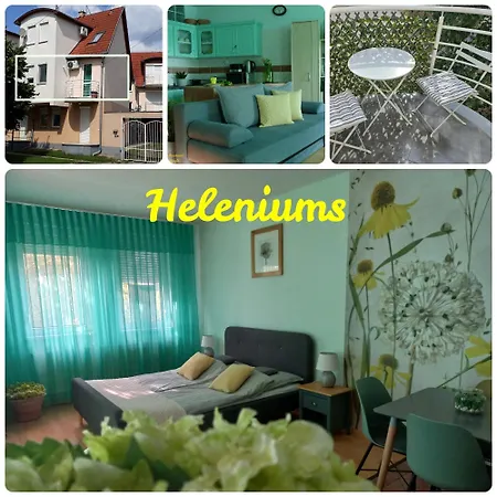 Heleniums *