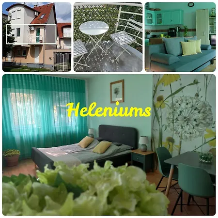 Heleniums
